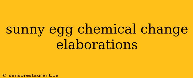 sunny egg chemical change elaborations