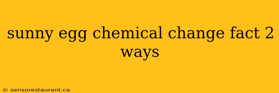 sunny egg chemical change fact 2 ways