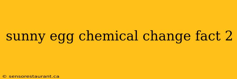 sunny egg chemical change fact 2