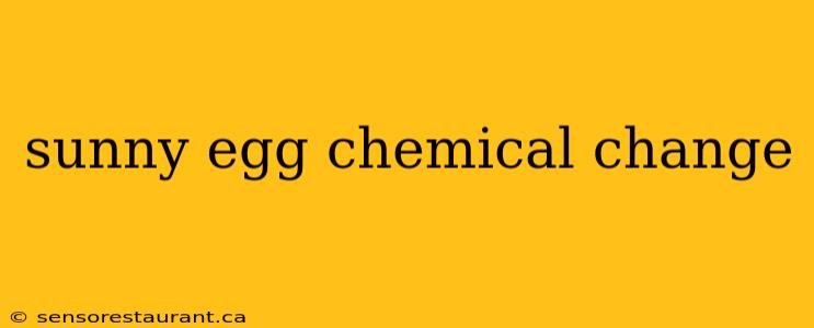 sunny egg chemical change