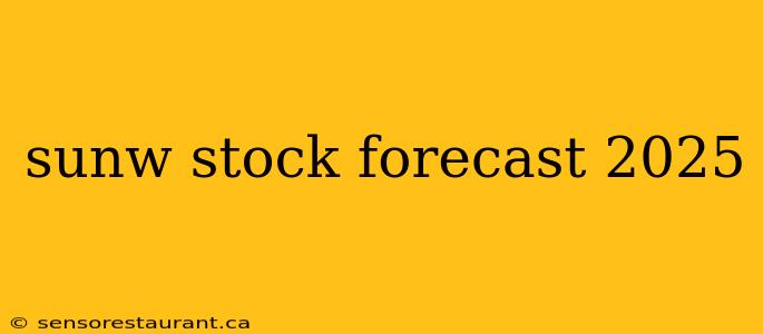 sunw stock forecast 2025