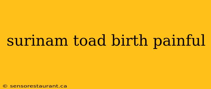 surinam toad birth painful