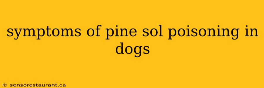 symptoms of pine sol poisoning in dogs