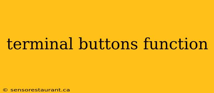 terminal buttons function