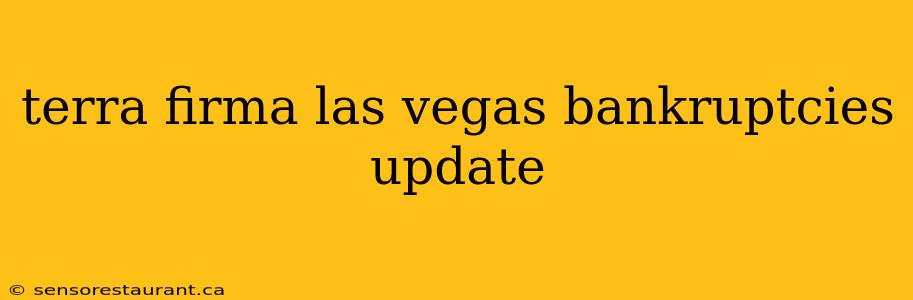 terra firma las vegas bankruptcies update