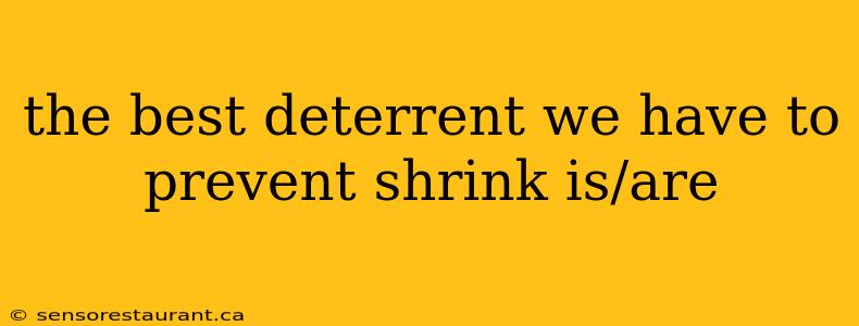 the best deterrent we have to prevent shrink is/are