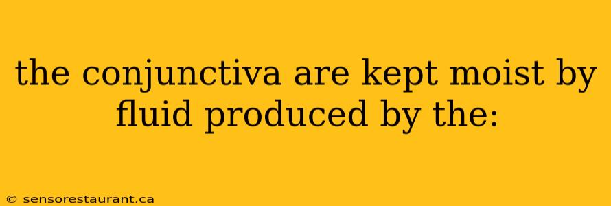 the conjunctiva are kept moist by fluid produced by the: