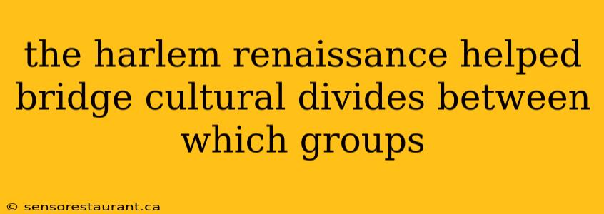 the harlem renaissance helped bridge cultural divides between which groups