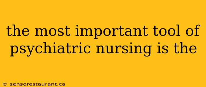 the most important tool of psychiatric nursing is the