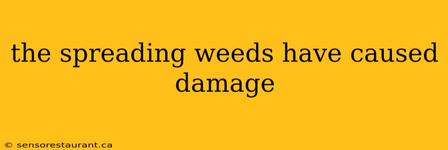 the spreading weeds have caused damage