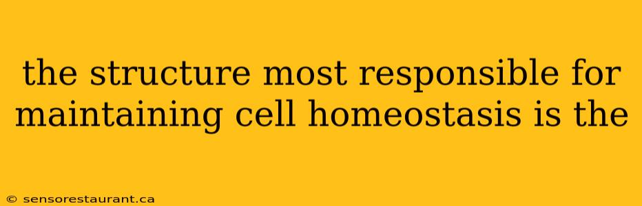 the structure most responsible for maintaining cell homeostasis is the