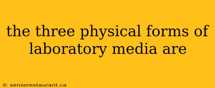 the three physical forms of laboratory media are