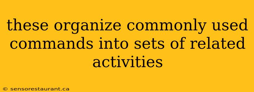 these organize commonly used commands into sets of related activities