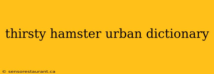 thirsty hamster urban dictionary