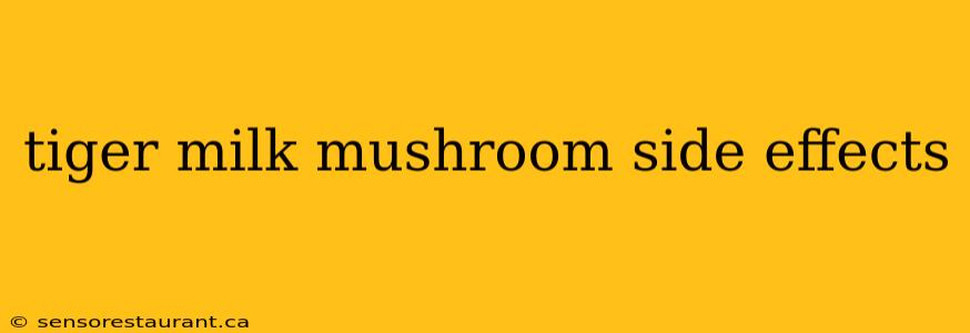 tiger milk mushroom side effects