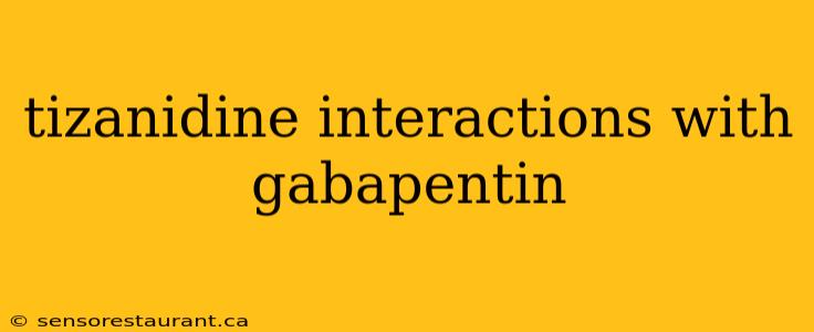 tizanidine interactions with gabapentin