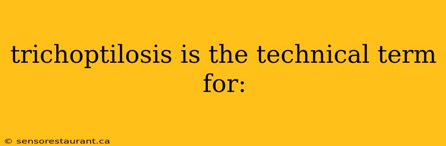 trichoptilosis is the technical term for: