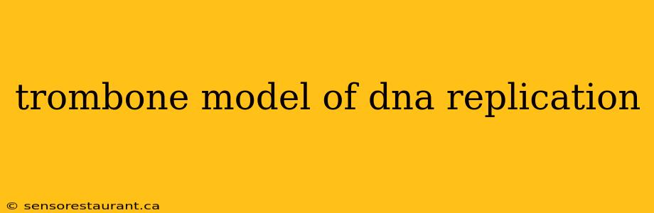 trombone model of dna replication