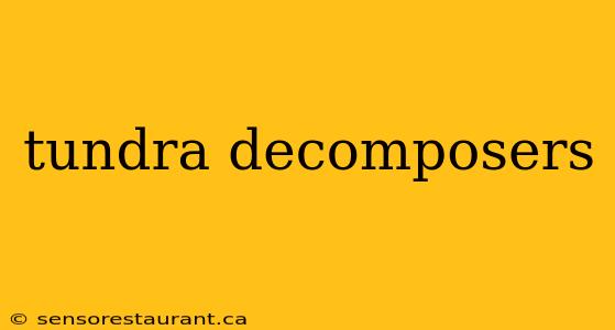 tundra decomposers