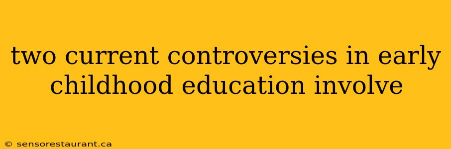 two current controversies in early childhood education involve