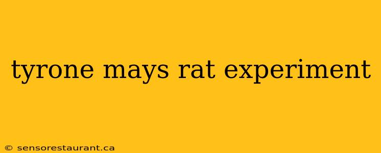 tyrone mays rat experiment