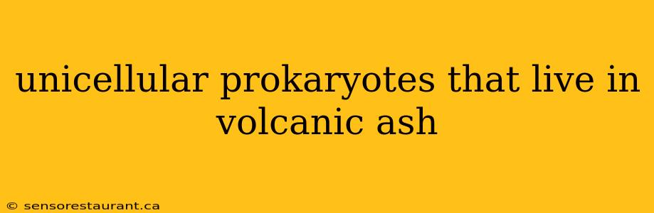 unicellular prokaryotes that live in volcanic ash