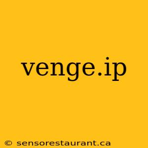 venge.ip