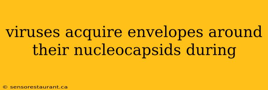 viruses acquire envelopes around their nucleocapsids during