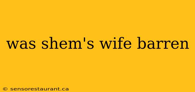 was shem's wife barren