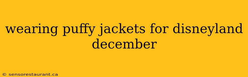 wearing puffy jackets for disneyland december