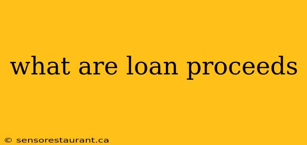 what are loan proceeds