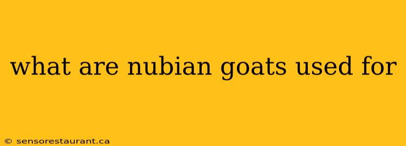 what are nubian goats used for