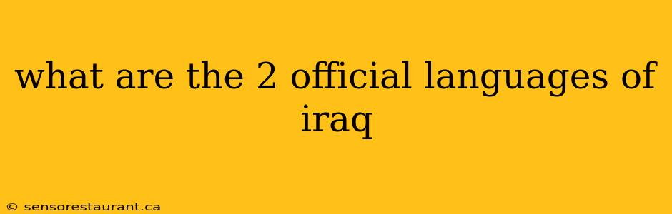 what are the 2 official languages of iraq