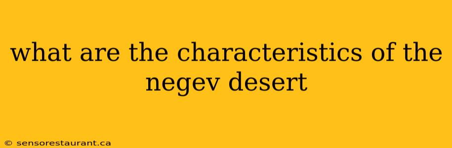 what are the characteristics of the negev desert