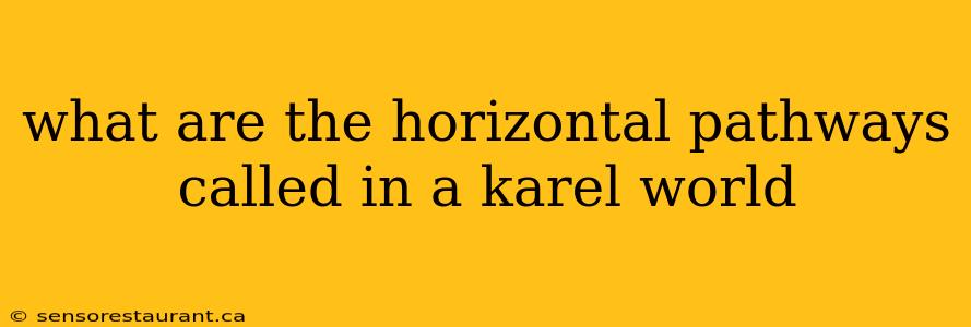 what are the horizontal pathways called in a karel world