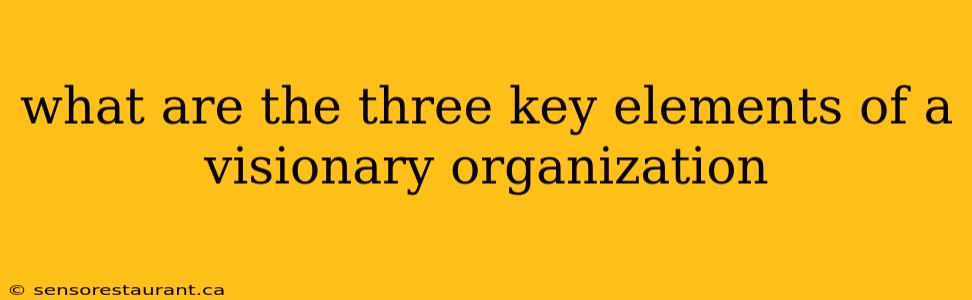 what are the three key elements of a visionary organization