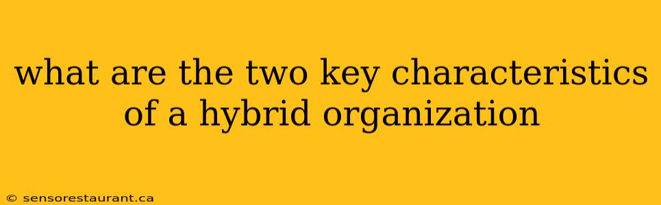 what are the two key characteristics of a hybrid organization