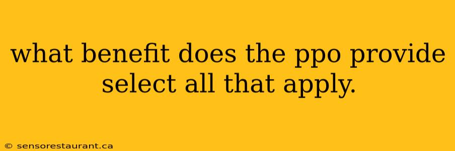 what benefit does the ppo provide select all that apply.