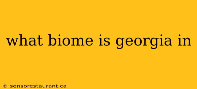 what biome is georgia in