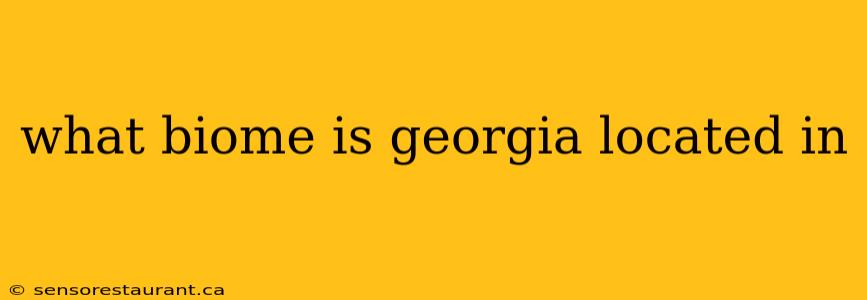 what biome is georgia located in