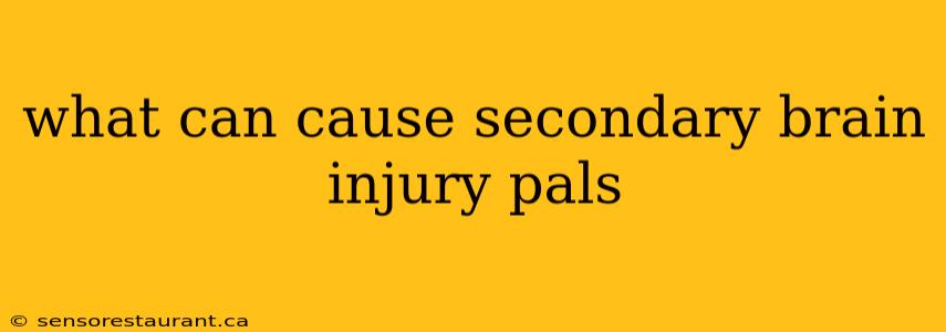 what can cause secondary brain injury pals