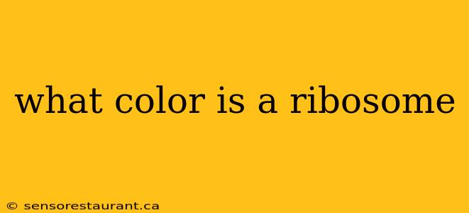 what color is a ribosome