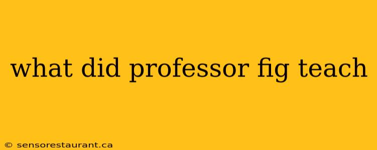 what did professor fig teach