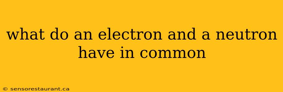 what do an electron and a neutron have in common