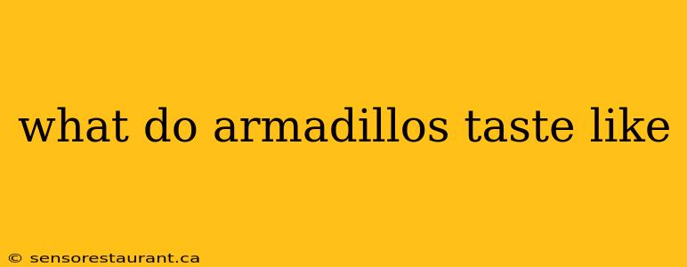 what do armadillos taste like