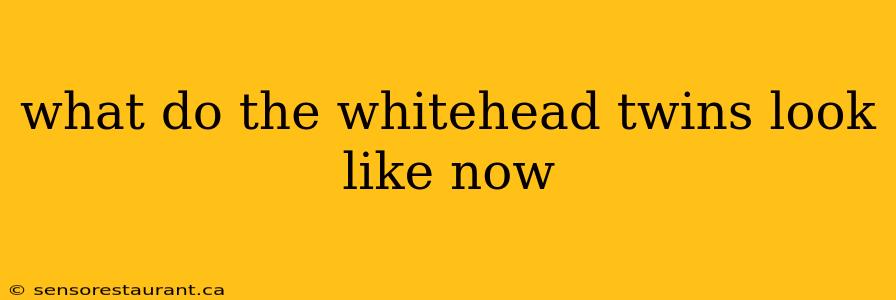 what do the whitehead twins look like now