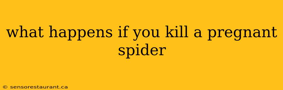 what happens if you kill a pregnant spider