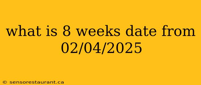 what is 8 weeks date from 02/04/2025