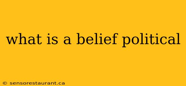 what is a belief political