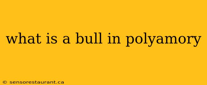 what is a bull in polyamory